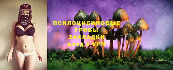 прущие грибы Беломорск