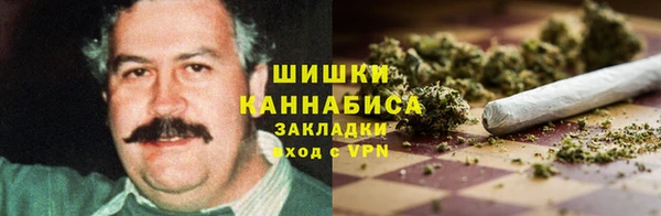 ALPHA PVP Белокуриха