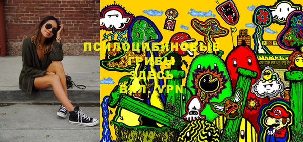прущие грибы Беломорск