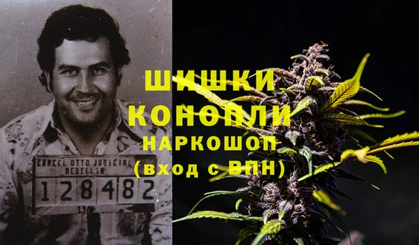 прущие грибы Беломорск