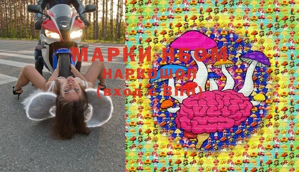 прущие грибы Беломорск