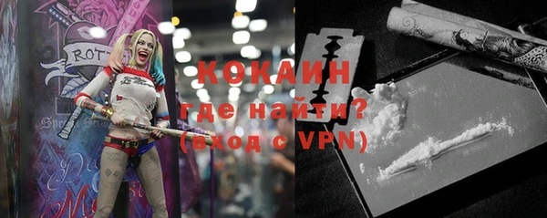 прущие грибы Беломорск