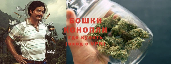 прущие крисы Белоозёрский