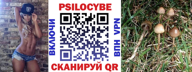 где купить наркотик  MEGA зеркало  Галлюциногенные грибы Magic Shrooms  Первомайск 